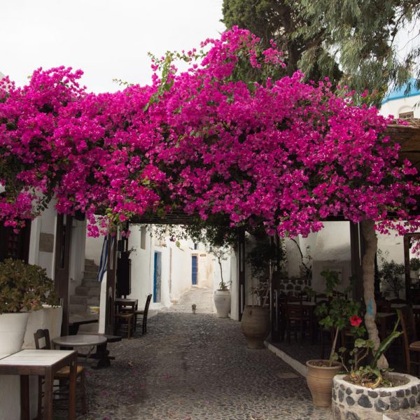 Villa Orpheus, Megalochori streets
